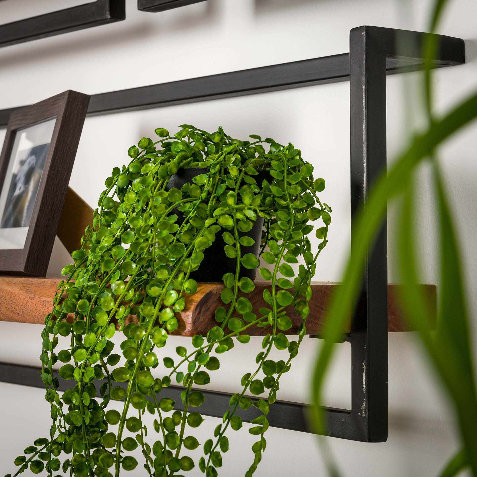 Regal – Avento Pure – Massivholz Akazie natur