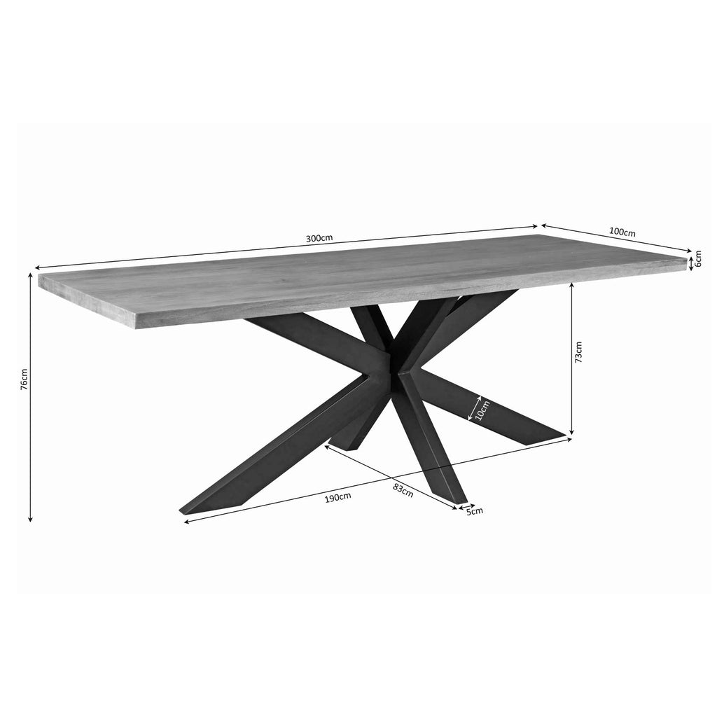 Esstisch Delta Natur – massives Mangoholz, Rechteckig, 300x100x76 cm