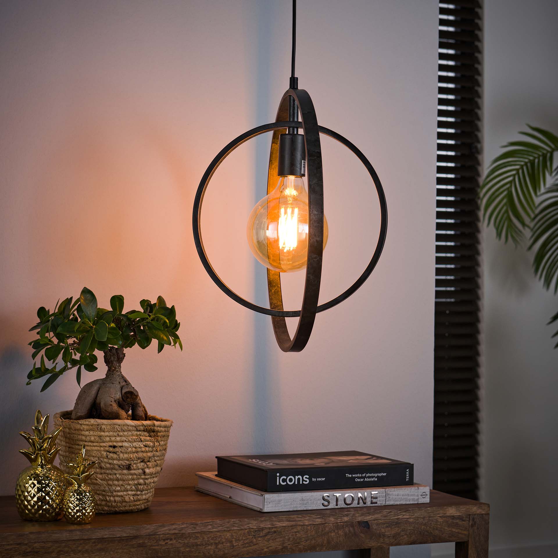 Hängeleuchte Carino 1-flammig – Metall-Leuchte 40×150×30 cm mit drehbarem Kreis, Charcoal-Finish, höhenverstellbar, E27, LED geeignet