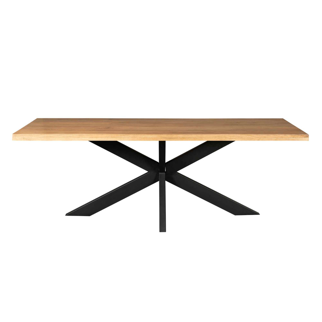 Esstisch Delta Natur – massives Mangoholz, Rechteckig, 300x100x76 cm