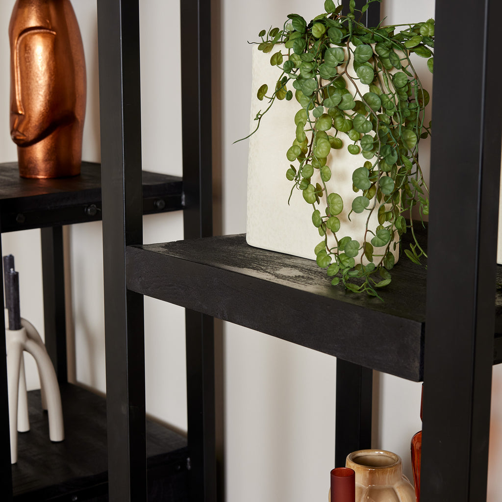 Regal Bori Schwarz 55x40x200 cm – modernes Mangoholz Schrank mit Tür & Regalfächern