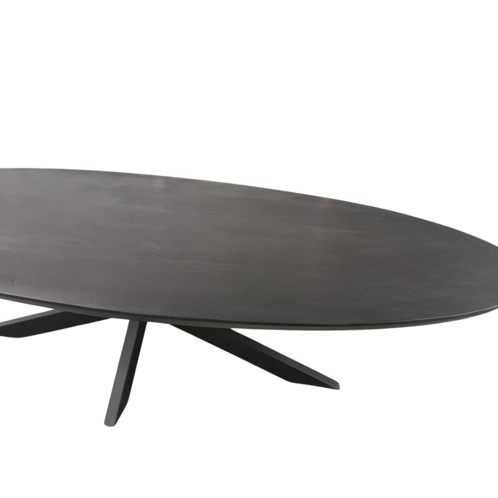 Ovaler Esstisch Jacky Schwarz 300x120x76 cm – massives Mangoholz mit sandgestrahlter Tischplatte & Metallgestell