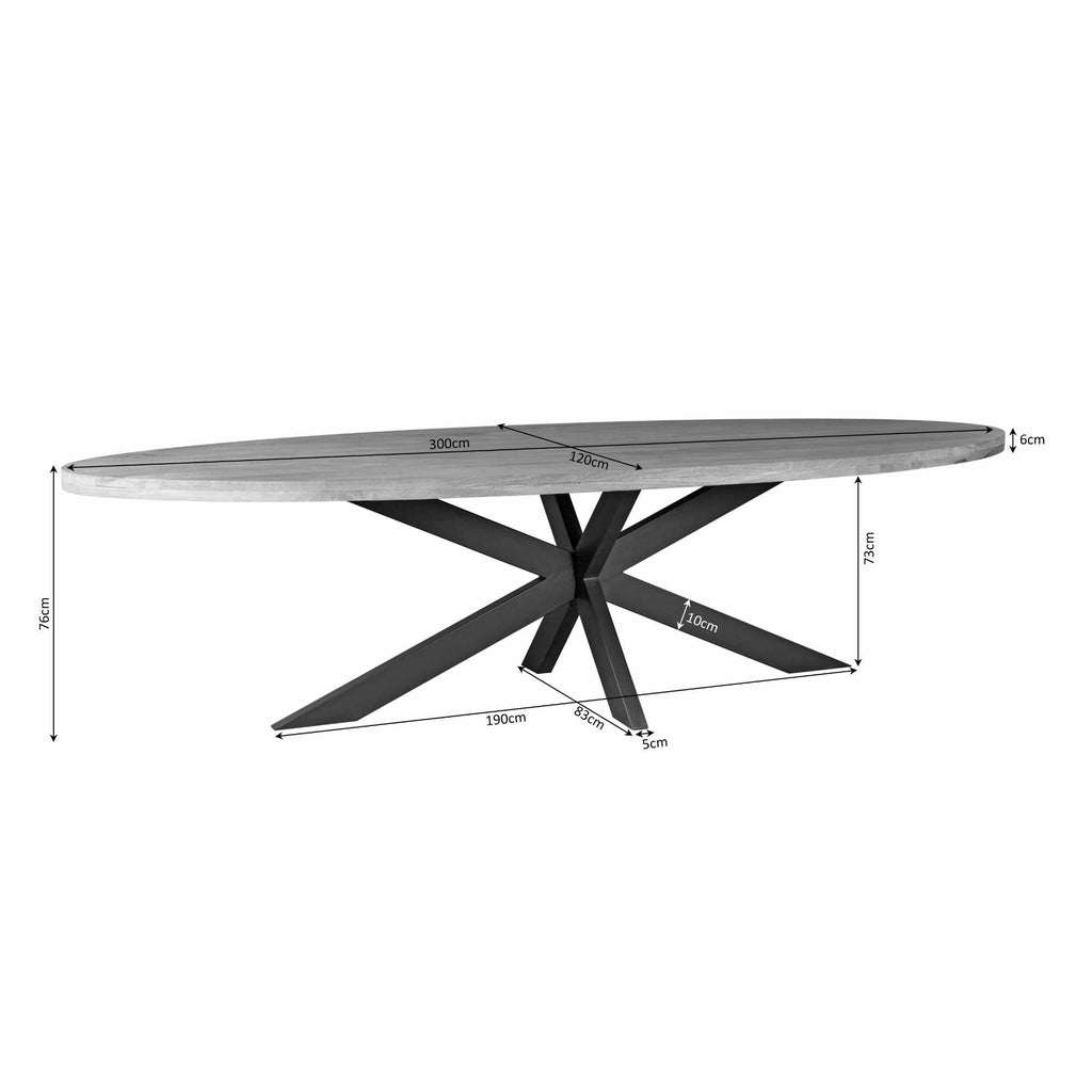 Esstisch Delta Oval 300x120x76 cm – Massivholz Mango mit schwarzem Matrix-Metallgestell