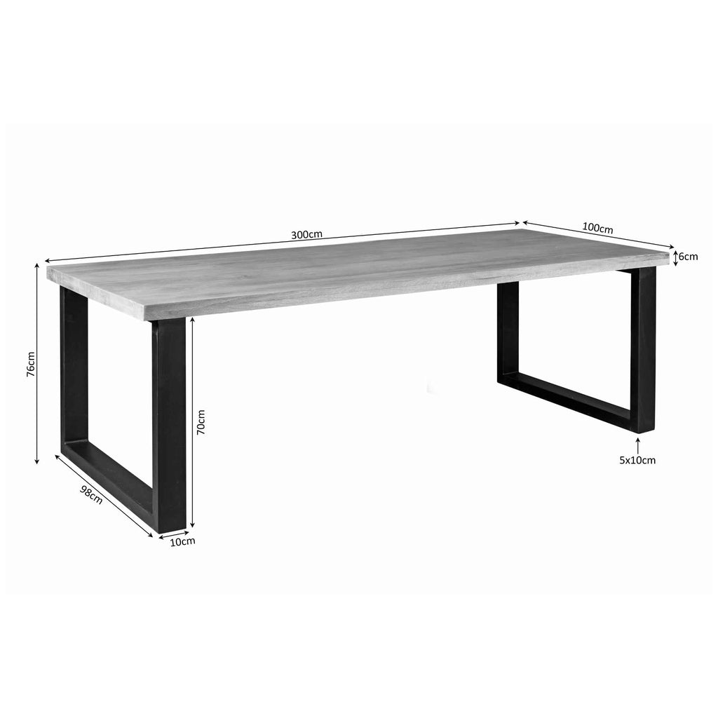 Esstisch Delta Natur - massives Mangoholz, Rechteckig 300x100x76 cm
