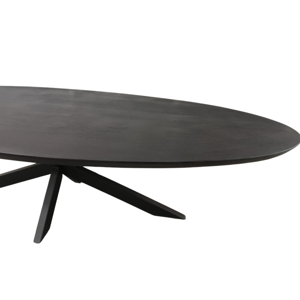 Esstisch Jacky Schwarz Oval 240x110x76 cm – moderner Mangoholztisch mit Metallgestell