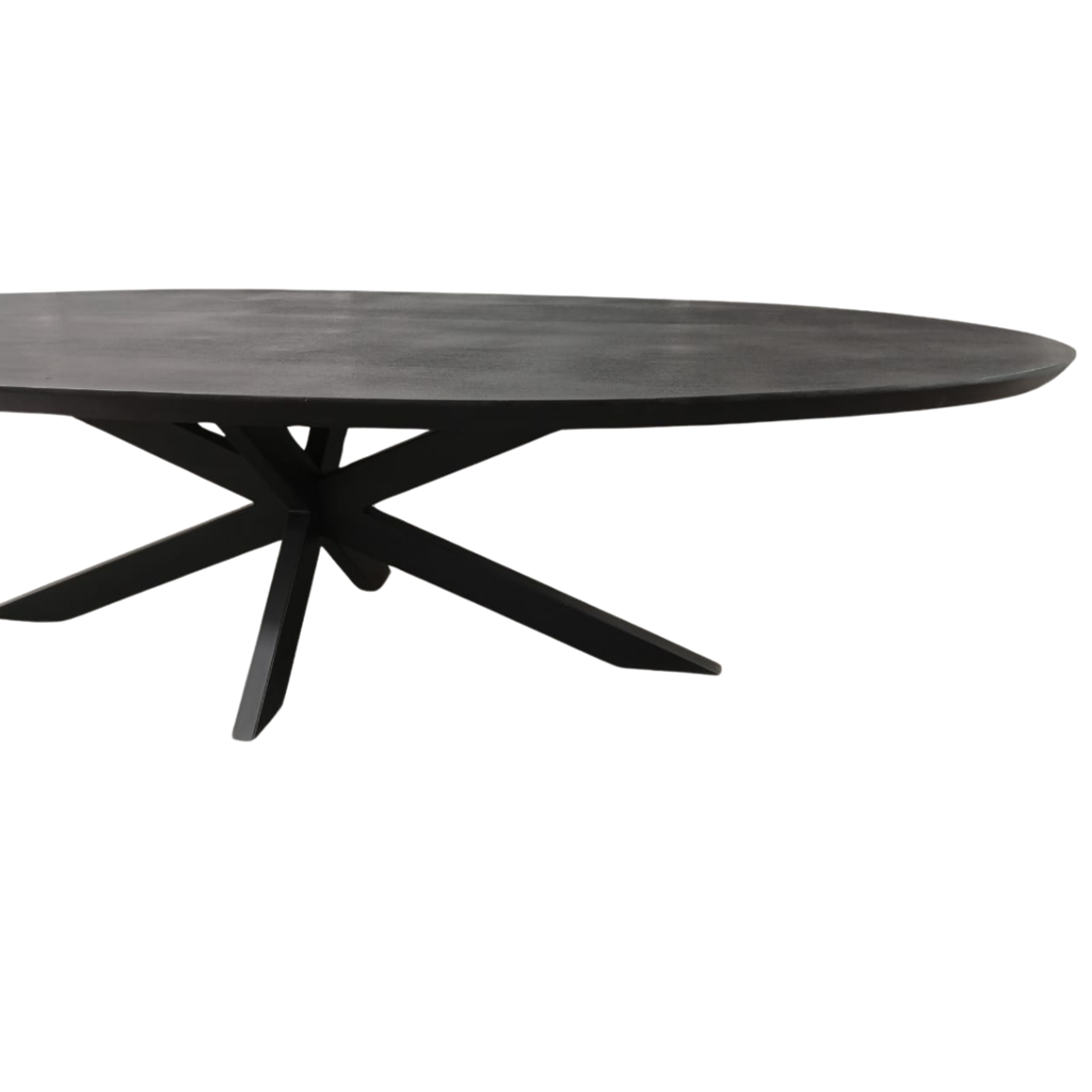 Esstisch Jacky Schwarz Oval 240x110x76 cm – moderner Mangoholztisch mit Metallgestell