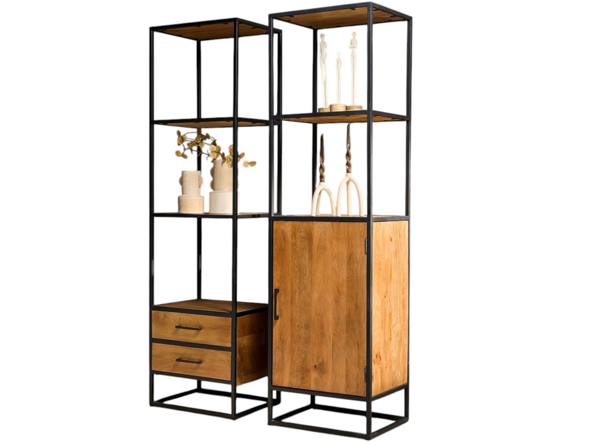 Bücherregal Delta – Regal aus Mangoholz mit Metallrahmen in Schwarz, 1 Tür & Ablage, 55 x 45 x 200 cm